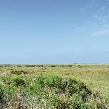 Rimmevej Romo Denm * Romo